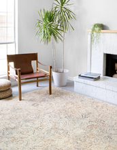 Load image into Gallery viewer, ZIVA Rug | Multi